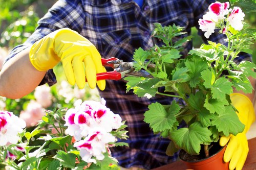 Gardeners Upper Norwood caring for a well-kept local garden