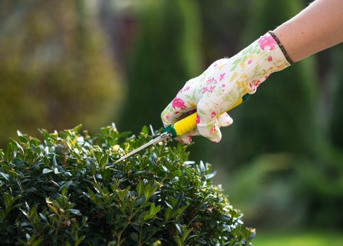 Gardener Upper Norwood pricing and quote overview
