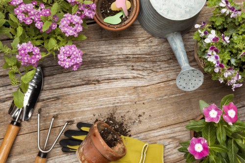 Garden safety policy introduction with image placeholder one