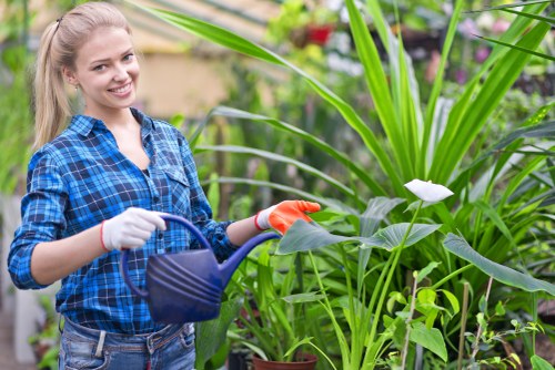 Gardener reviewing a garden task to assess a customer complaint