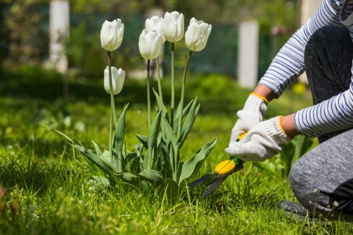 Upper Norwood gardeners separating green waste for recycling