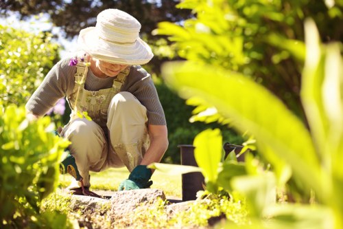 Seasonal planting and lawn care by gardeners in Upper Norwood