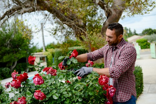 Gardening service terms and conditions introduction for a UK garden maintenance business