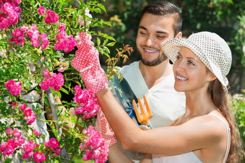 Upper Norwood gardening content structured for accessibility and clear reading