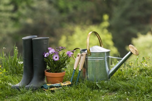 Local garden care in Upper Norwood with healthy lawns and borders