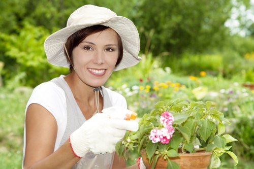 Seasonal flower bed and shrub maintenance in an Upper Norwood garden