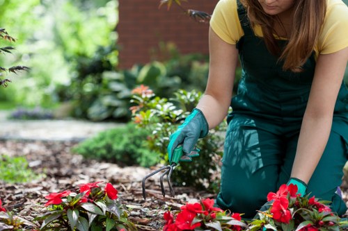 Seasonal garden maintenance in Upper Norwood with lawns and flower beds