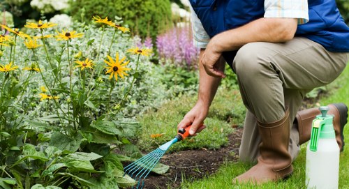 Garden clearance and restoration work in Upper Norwood