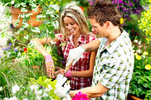 Transparent quotation for garden services in Upper Norwood