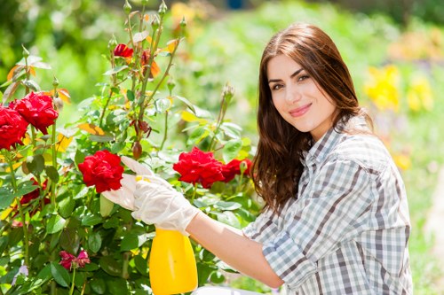 Booking process and service agreement details for an Upper Norwood gardening company