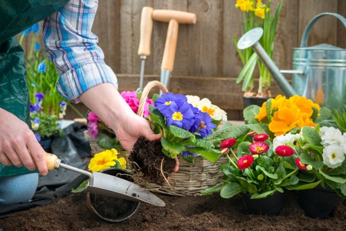 Professional gardeners shaping a balanced Upper Norwood garden