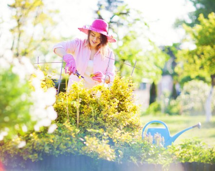 Garden planning features for landscape gardening in Upper Norwood