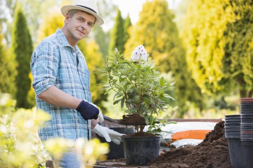 Professional lawn mowing and edging in Upper Norwood