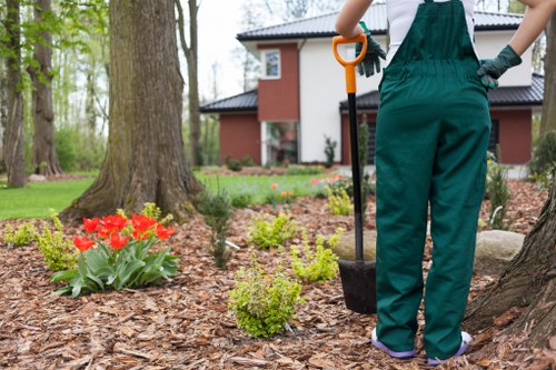 Planting and hard landscaping ideas for an Upper Norwood garden