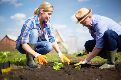 Upper Norwood gardeners trimming hedges and caring for outdoor spaces