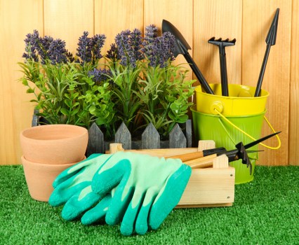 Professional garden maintenance in an Upper Norwood outdoor space