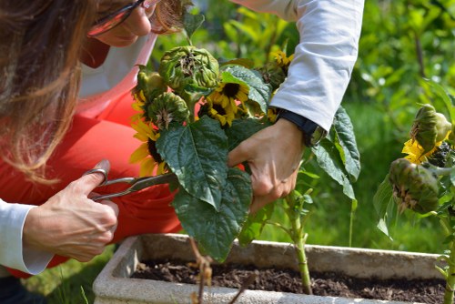 Well-kept garden pathway symbolizing reliable gardening service standards