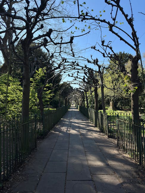 A straight, paved pathway within a landscaped garden, bordered by a low green metal fence on both sides. The path is shaded by an arched canopy formed by leafless tree branches entwined overhead, cast