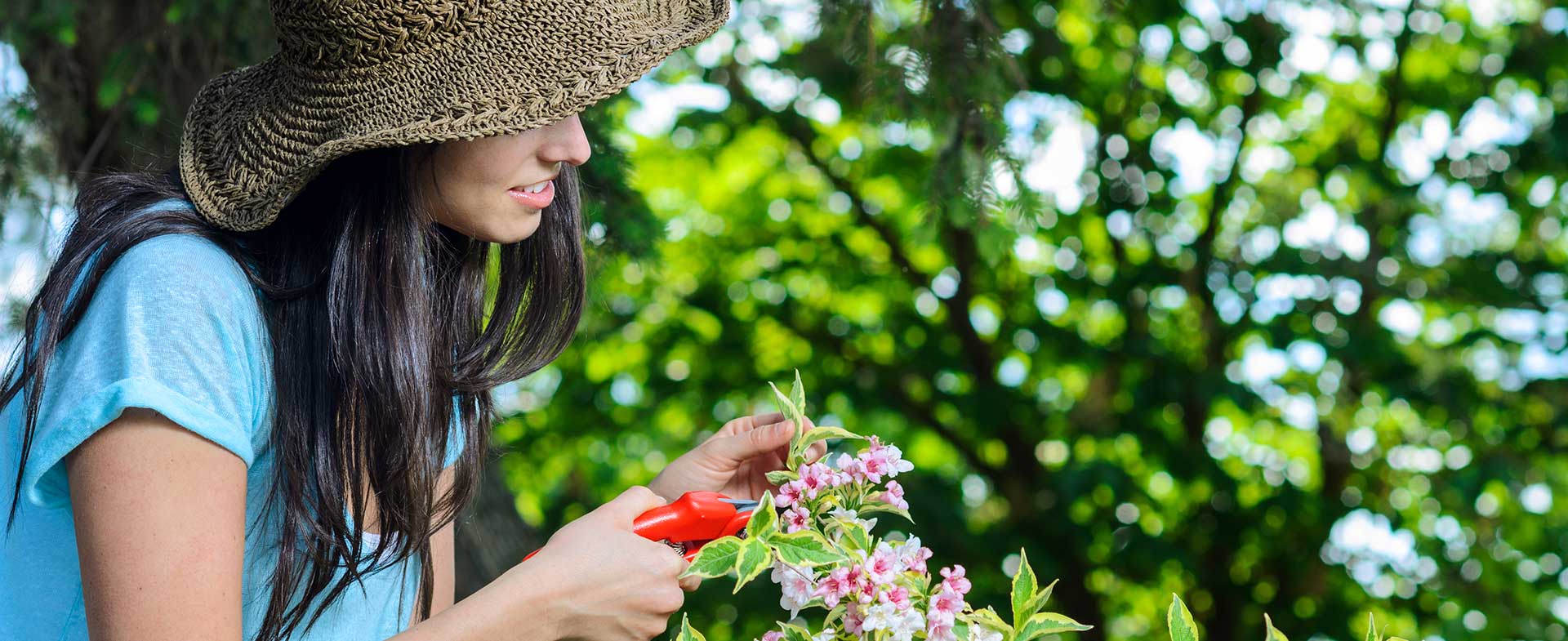 Gardeners Upper Norwood
